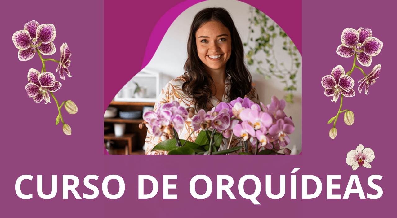 Curso de Orquídeas: Aprenda a Cultivar Com Sucesso